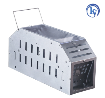 Visual acrylic mouse trap