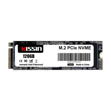 Kissin Factory Direct 120 GB M.2 PCIE 3.0 NVME SSD