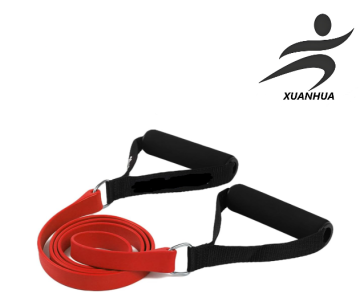 Exercise Bands with Handles, Resistance Bands with Handles, Ideal for Physical Therapy Strength Training, Muscle Toning - Door
