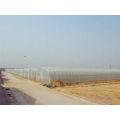 گلخانه کوچک شیروانی تک دهانه
