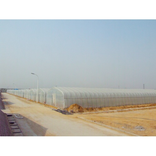 Small Gable Single Span Greenhouse