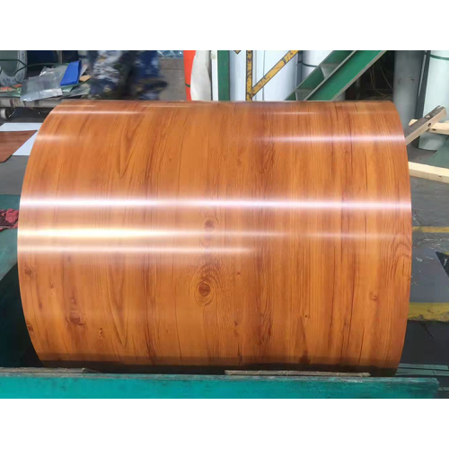 Hot Dip Dx51D Color Coated Galvanized Steel Coil