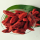 Ningxia Bulk Wholesale buah kering goji berry