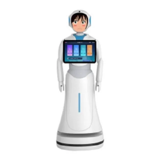 Amazing Welcoming Guests Service Robot