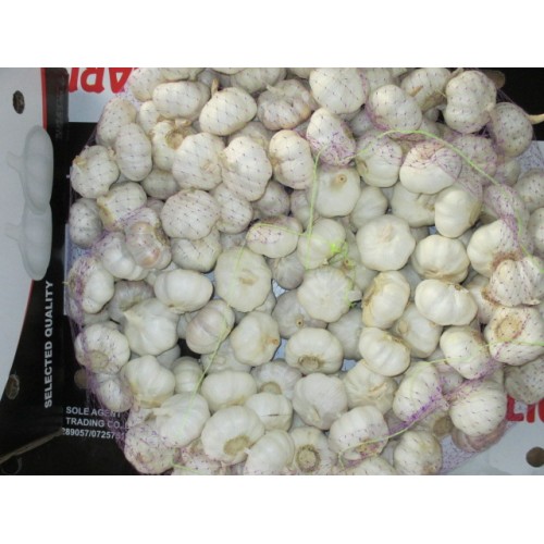 High Quality Fresh Pure White Garlic