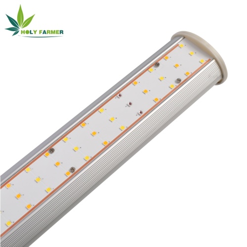 600W LED Grow Light Bar