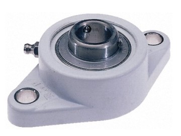 Two Bolt Flange