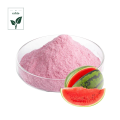 Fruchtsaftpulver aus Wassermelonenextraktpulver