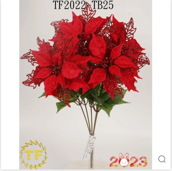 Christmas Christmas