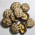 Cogumelos shiitake secos (4-5cm, 3-4cm, 2-3cm)