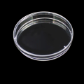 High Quality Transparent Glass Petri Dishes 150mm