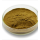 Mulberry Leaf Extract Powder DNJ Natural Reduce Blood