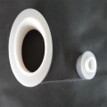 Membrane PTFE hydrophobe Rayhot