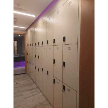 Colorful and woodgrain color password lock phenolic lockers