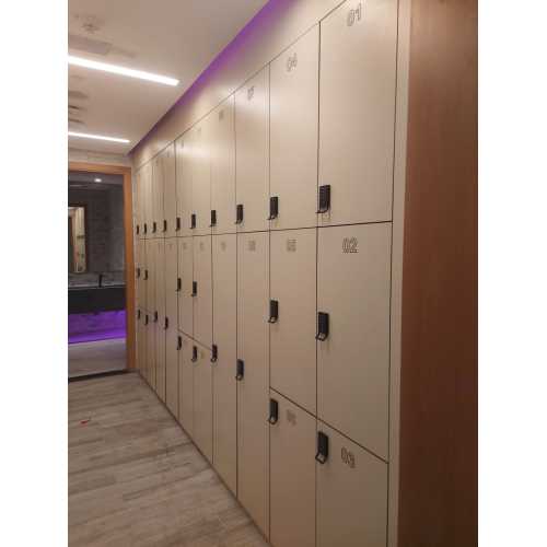 Colorful and woodgrain color password lock phenolic lockers