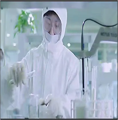 Leonurus heterophyllus herb yi mu cao powder