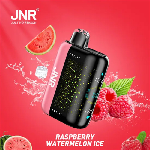 Jnr Plus X 26000 Puffs Rechargeable Fruit Flavors wholesale