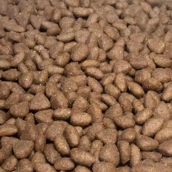 Alimentos para cães secos de alta qualidade para animais de estimação saudáveis