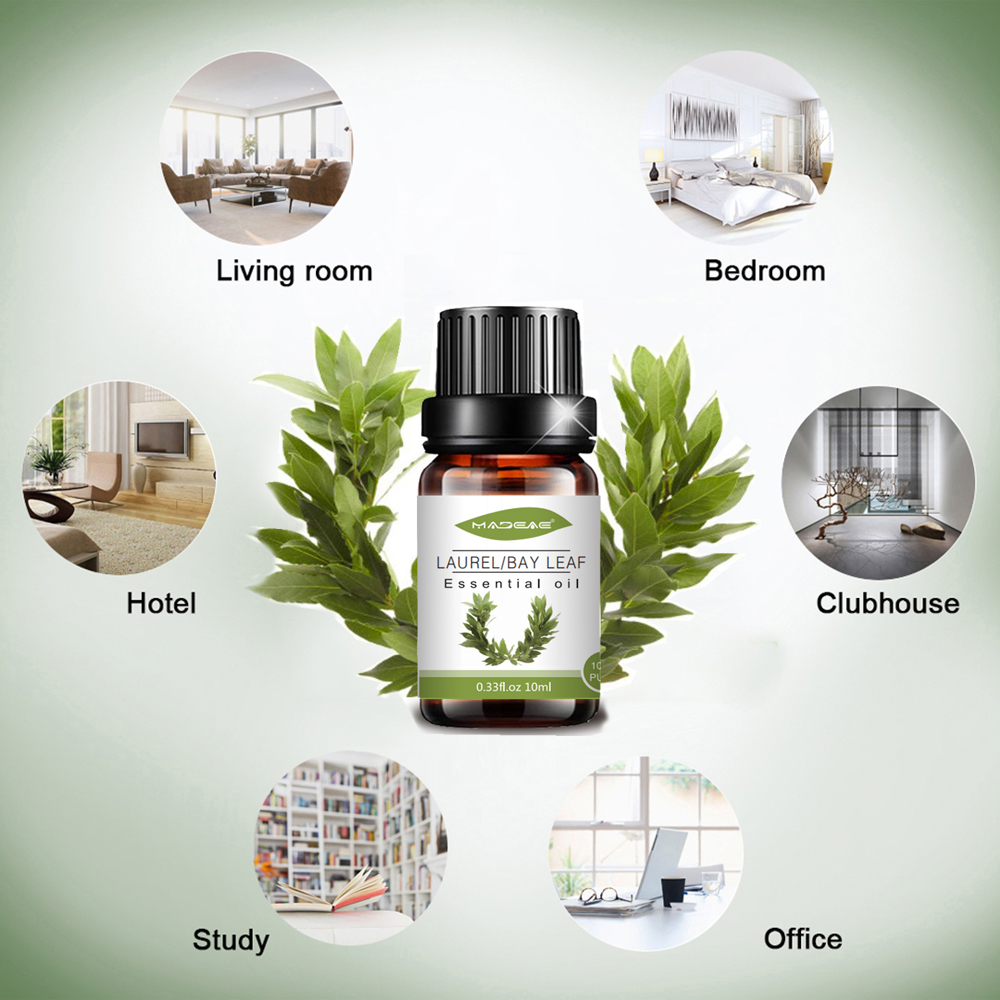 Grosir Bulk Laurel Essential Oil Label Pribadi Sampel Gratis Laurel Leaf Oil Pure Natural Organik Top Grade Bay Leaf Oil