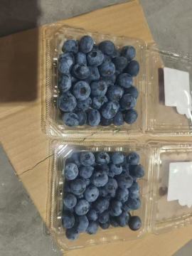 Fresh Yunnan Highland Blueberries