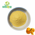 Orange Juice Powder