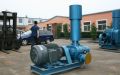 Roots Vacuum Pump Company