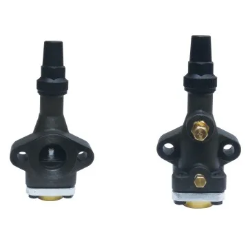 Cast Iron Suction Valve
