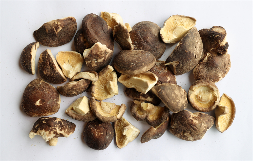 Freeze Dried Shiitake Mushrooms