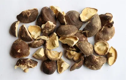 Shiitake Mushroom Extract, Shiitake Mushroom P.E.