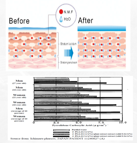 polyglutamic acid serum