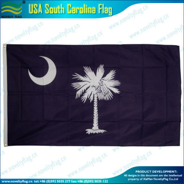 USA South carolina flag