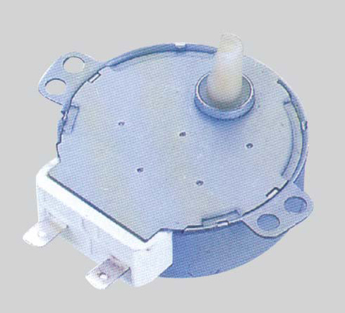 Synchronous Motor (49TDY -D)