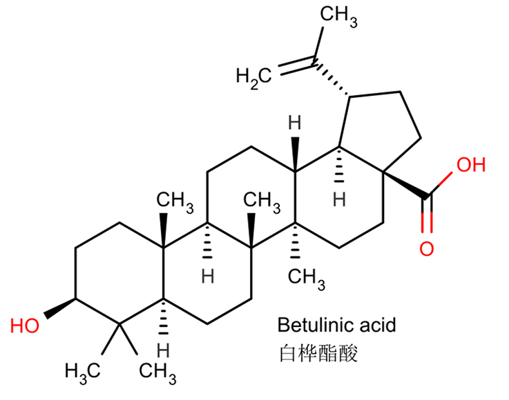betulinic acid 7