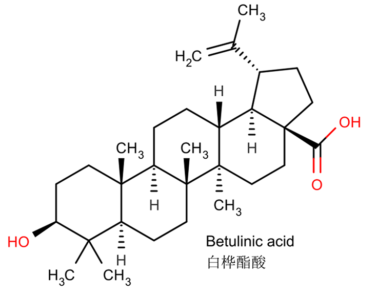 ácido betulínico 7 betulinic acid 7