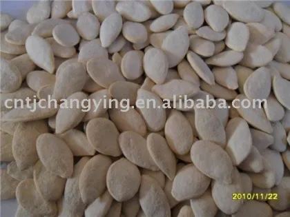 roasted pumpkin seeds