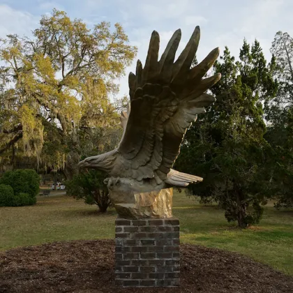 Hot sale china brand art wholesale bronze eagle statues for sale