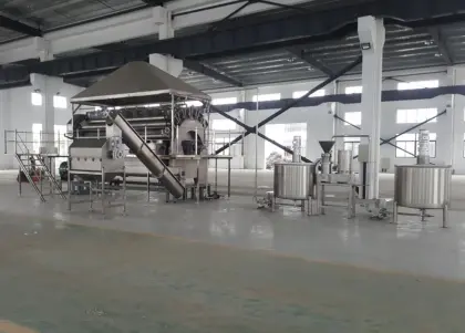 Wheat Flakes Dry Forming Machine and Oatmeal Production Line