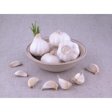 ব্যাগে উচ্চ মানের সাদা রসুন