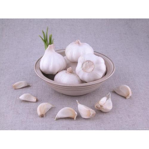 ব্যাগে উচ্চ মানের সাদা রসুন