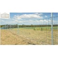 Valla de malla superior enrollable galvanizada BRC