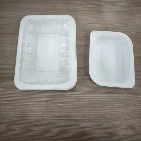 Heat Resistance PP Blister Packaging Trays for Food