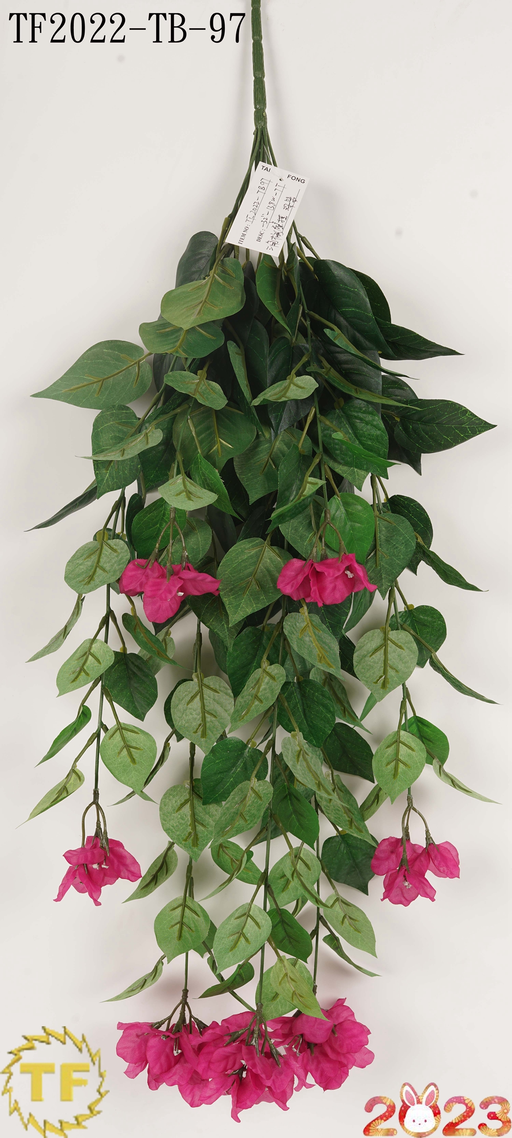 32 "Dunkelviolett Bougainvillea Hanging Busch