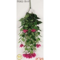 32 "Dunkelviolett Bougainvillea Hanging Busch