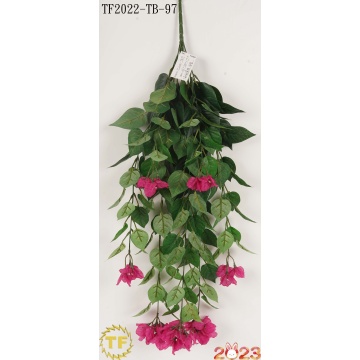 32" Dark Purple Bougainvillea hanging bush