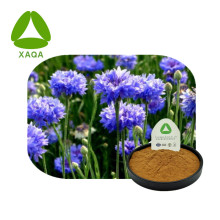 Natural Cornflower Extract Powder 10:1