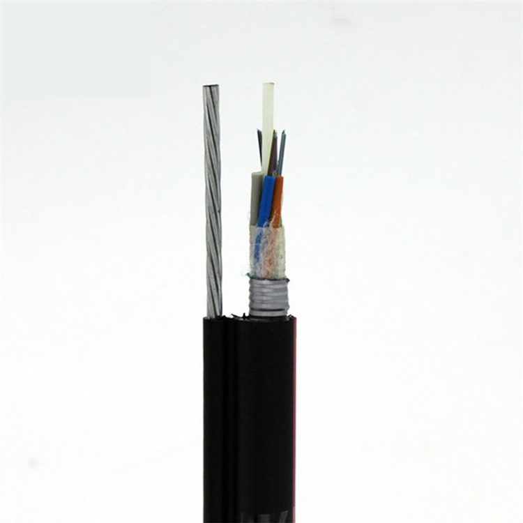 GYFTC8S 22 (3)