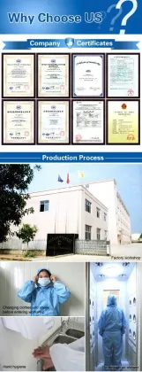 All Natural Pomegranate Fruit pet Shampoo