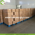 Distributeur de nutrition d&#39;usine Baies conventionnelles de Goji