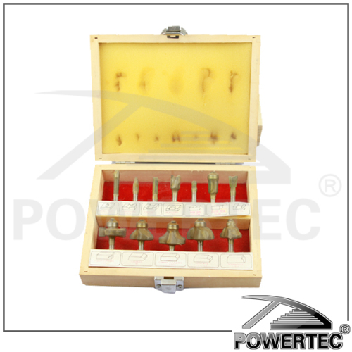 POWERTEC 12PCS router bit with 2 flutes