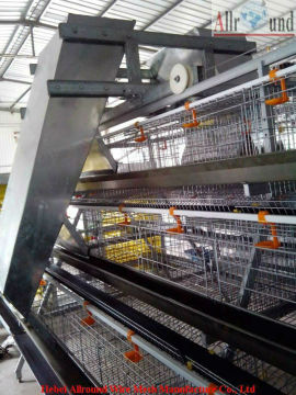 Chicken raising equipment automatic for Broiler  